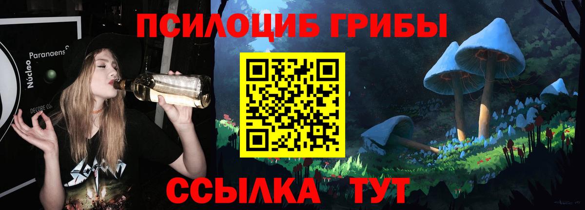 Галлюциногенные грибы Psilocybine cubensis  Вход с VPN  Новодвинск 